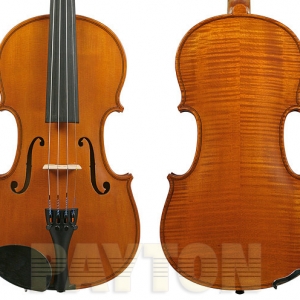 Gliga I Violin Outfit Standard w/Violino 4/4