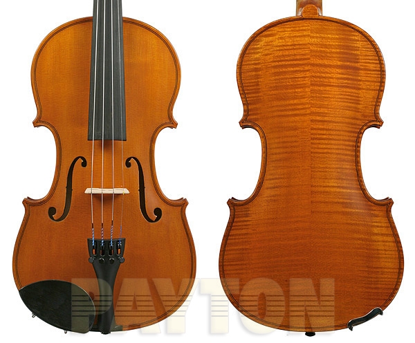 Gliga I Violin Outfit Standard w/Violino 4/4