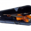 Raggetti RV2 Violin Outfit in Shaped Case 3/4