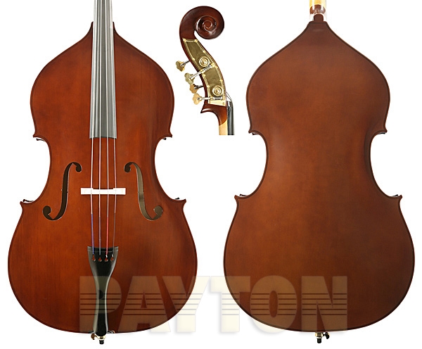 Enrico Double Bass Outfit Student Plus Solid Top 1/8