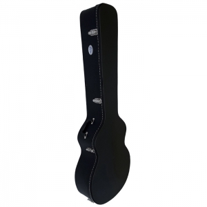 DCM WAB1  Acoustic Bass  Wood Case