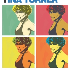 SIMPLY THE BEST OF TINA TURNER PVG