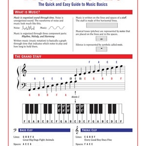 MUSIC NOTES QUICK & EASY GUIDE TO MUSIC BASICS