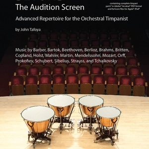 BEYOND THE AUDITION SCREEN BK/CD