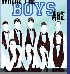 WHERE THE BOYS ARE DVD