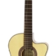 Aria A48 Series AC/EL Classical/Nylon String Thin Body Guitar w Cutaway