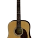 Aria ADW-01 Series Dreadnought Acoustic Guitar Natural