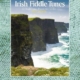 IRISH FIDDLE TUNES VIOLIN BK/CD