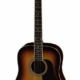 Aria Fiesta Series Dreadnought Acoustic Guitar Brown Sunburst