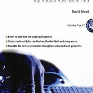 100 TIPS FOR BLUES GUITAR BK/CD