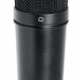 Platinum Series Condenser Microphone with Case